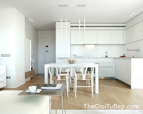 6bd166d104a882b3_7103-w500-h400-b0-p0--contemporary-kitchen