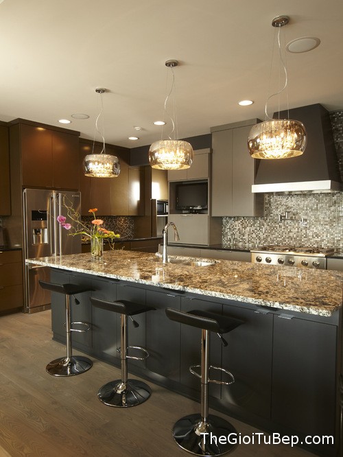 30f1f6850f317a43_1194-w500-h666-b0-p0-contemporary-kitchen